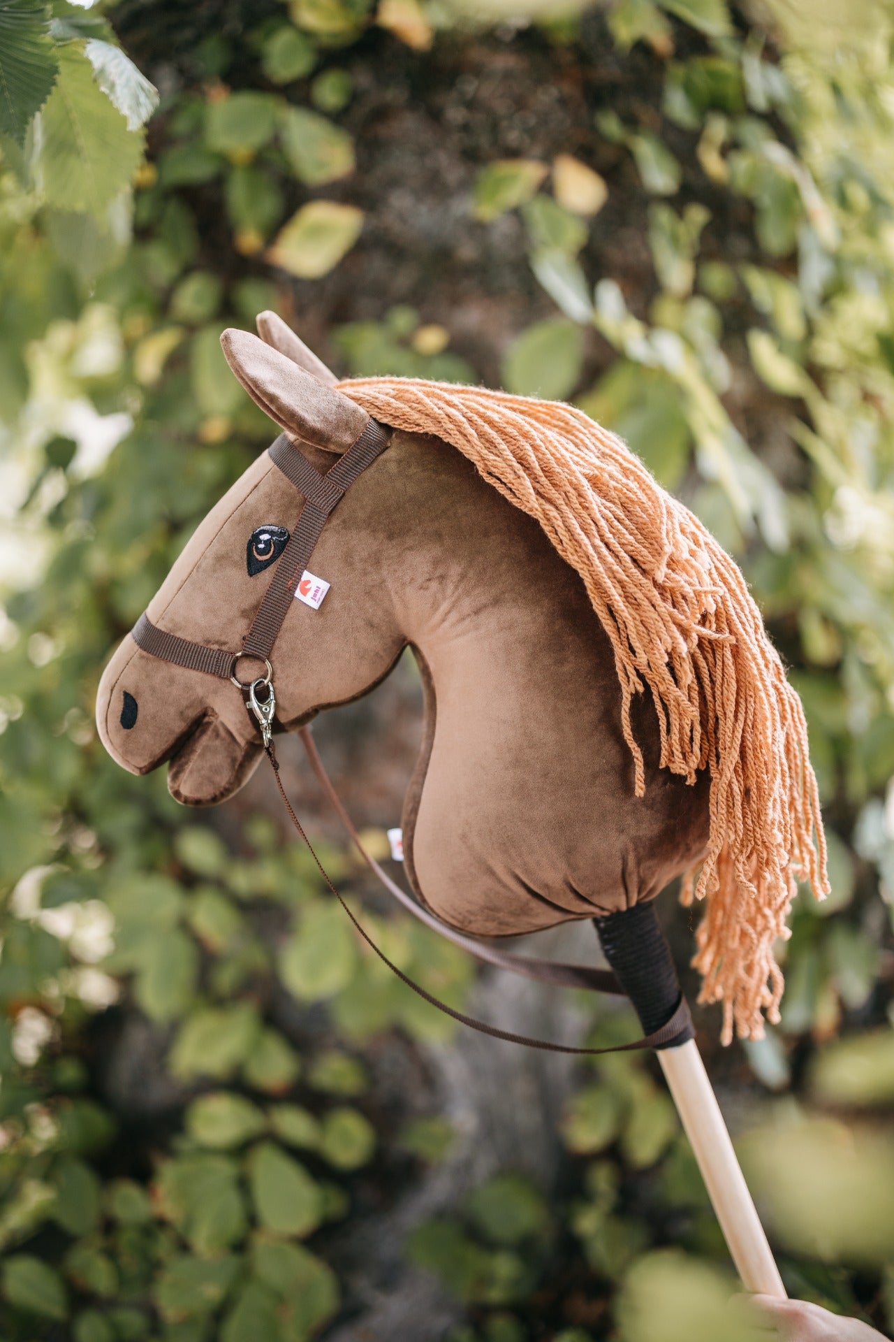 Chelsea - Světle hnědá hříva - Dospělý kůň