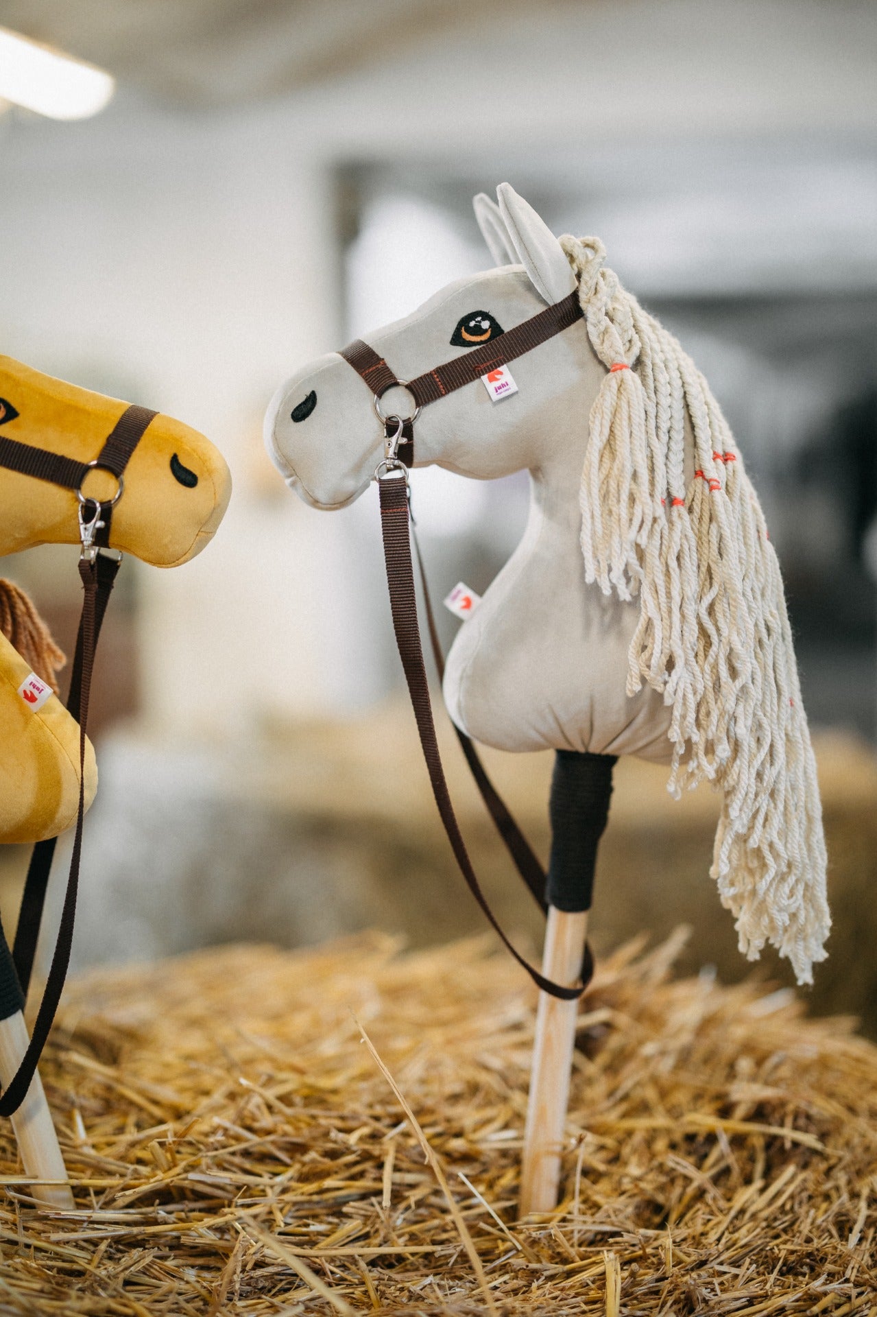 Cora - Přírodní hříva - Hříbě