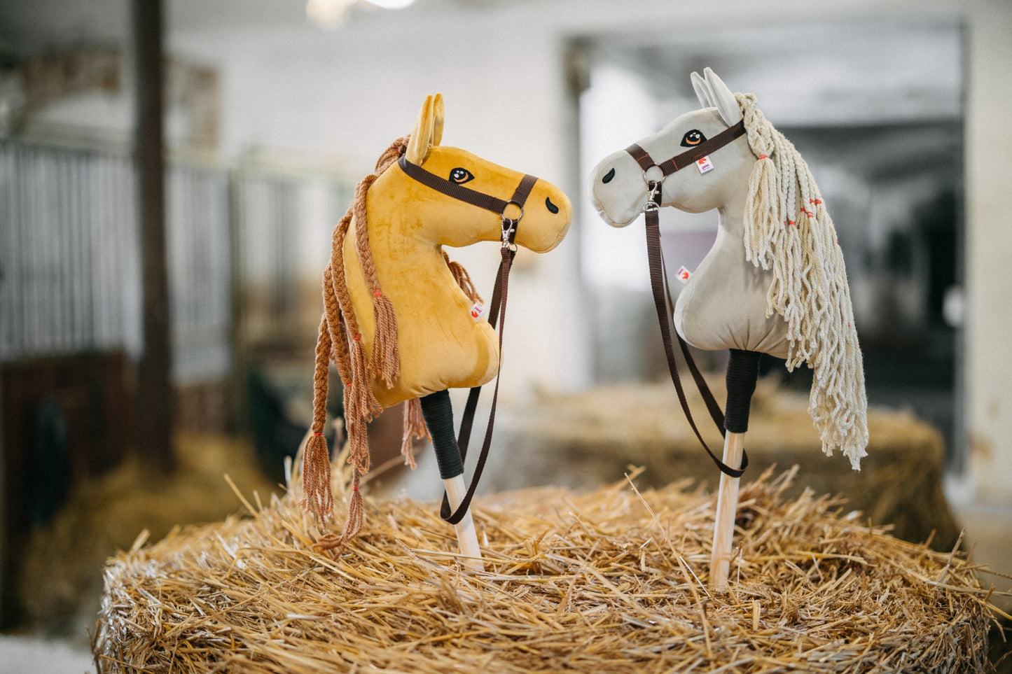 Cora - Přírodní hříva - Hříbě