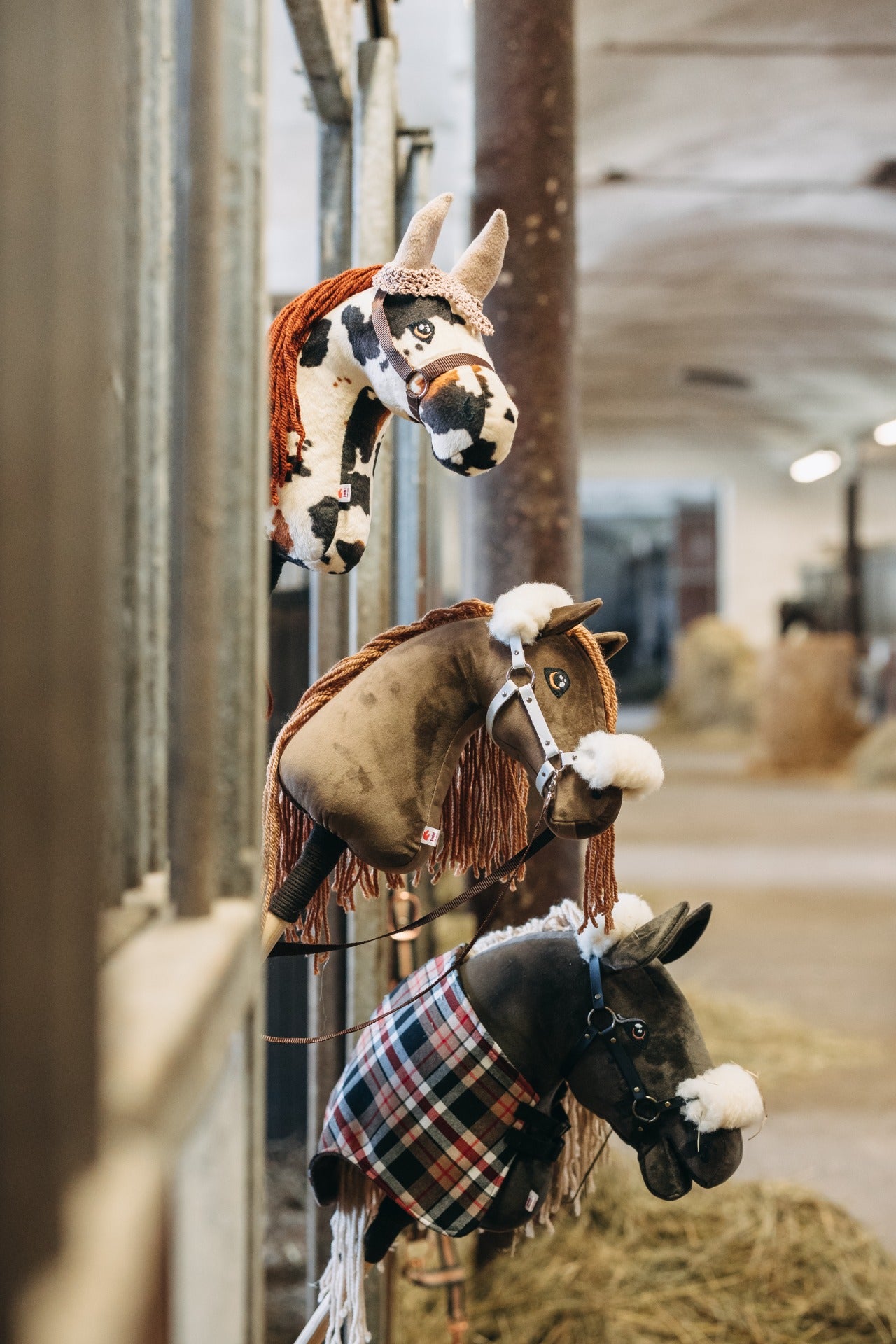 Chelsea - Tmavě hnědá hříva - Hříbě