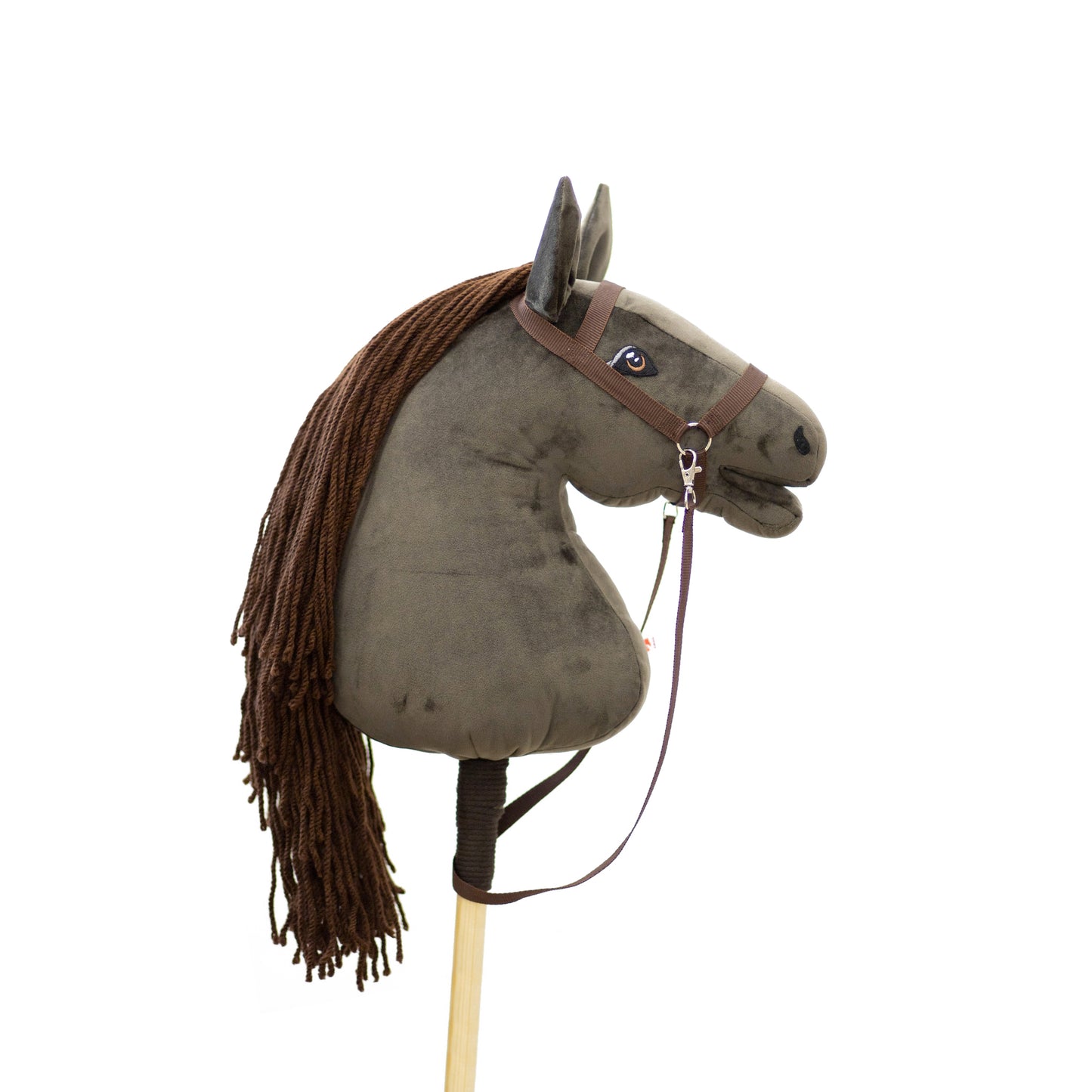 Gizmo - Brown mane - Adult horse