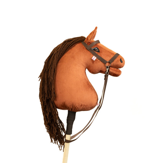Terra - Dark brown mane - Adult horse