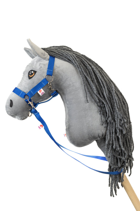 Halter with reins - Dark blue - Foal
