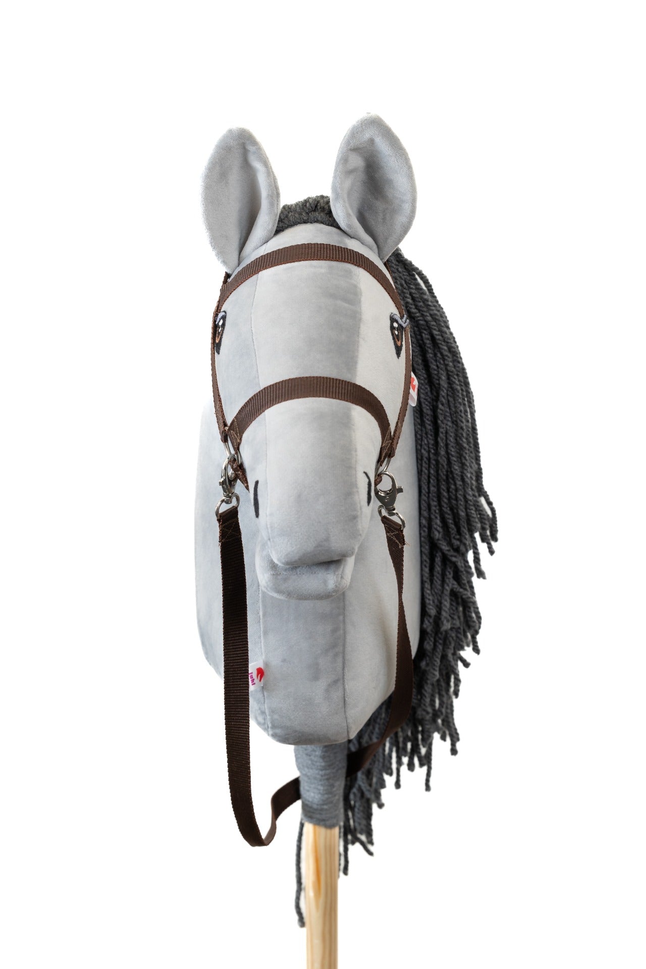 Silver - Grey mane - Adult horse