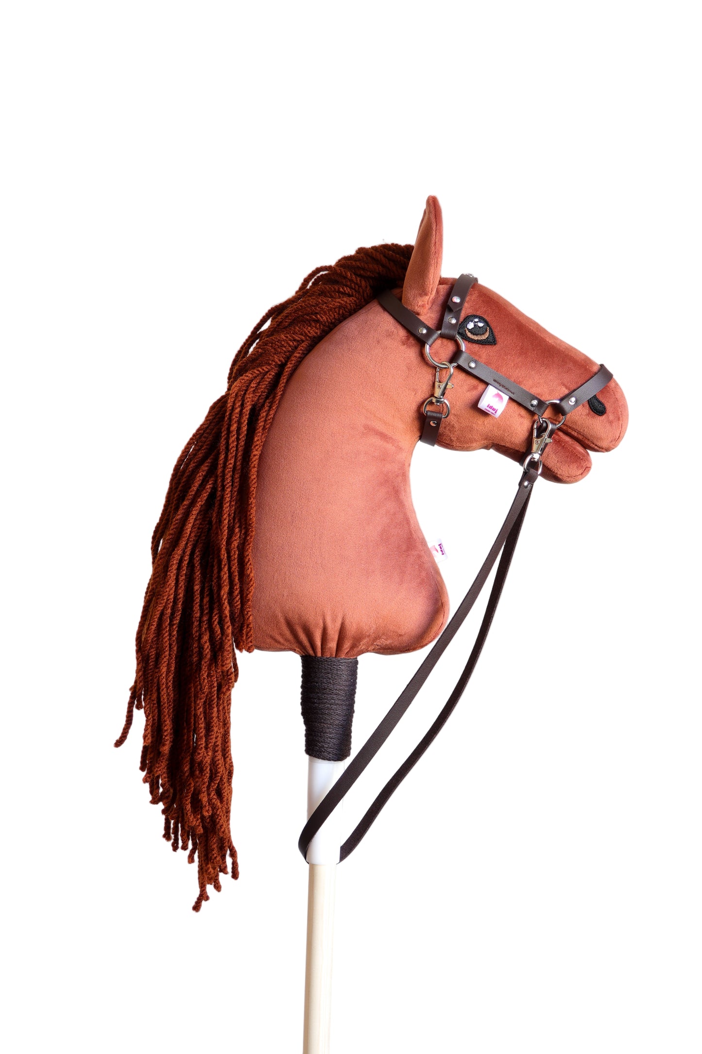 Terra - Rezavá hříva - Sportovní pony