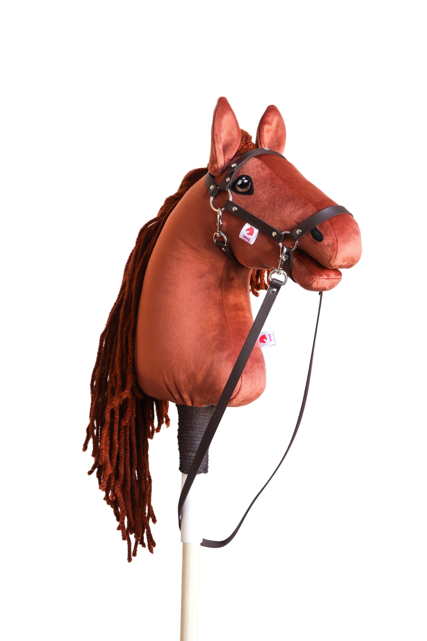 Terra - Rezavá hříva - Sportovní pony