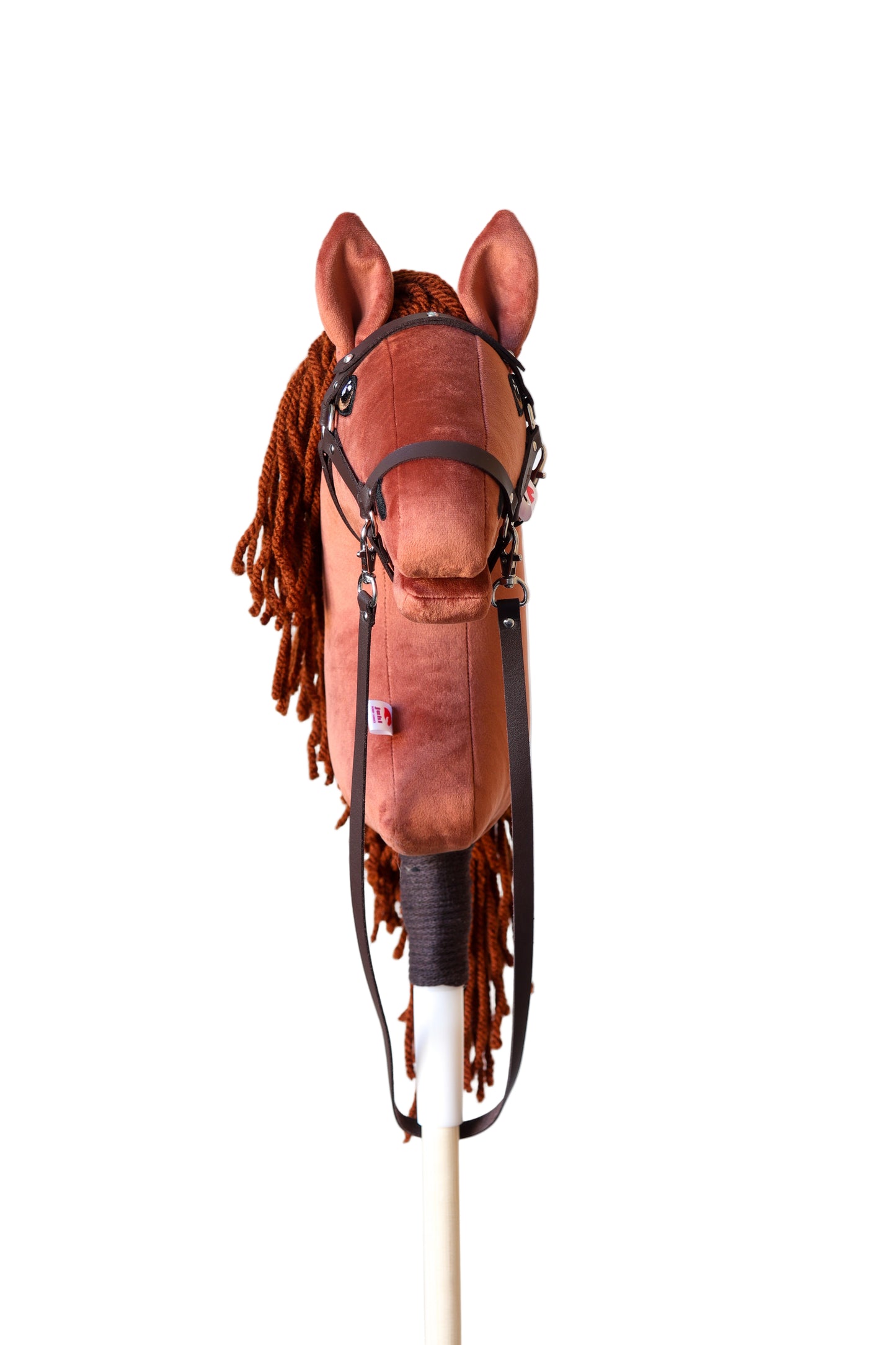 Terra - Rezavá hříva - Sportovní pony