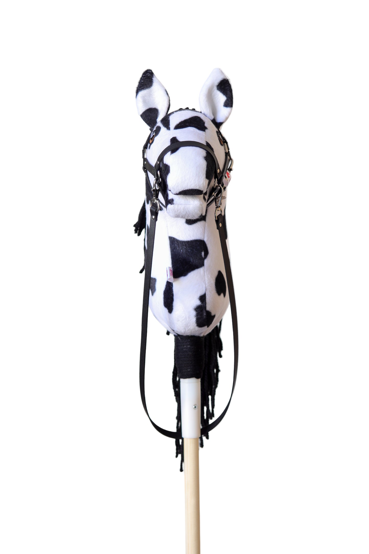 Dakota - Černá hříva - Sportovní pony