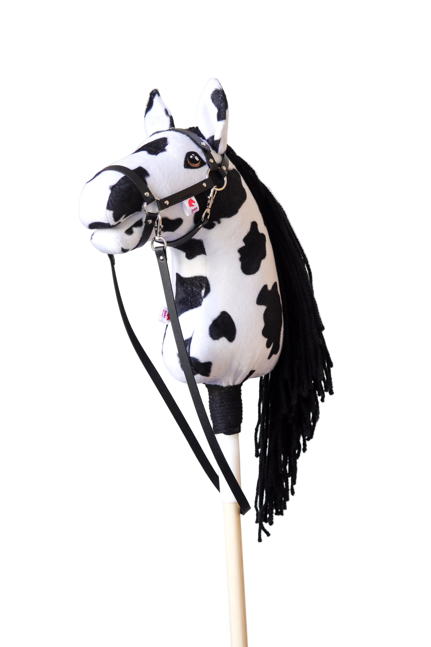 Dakota - Černá hříva - Sportovní pony