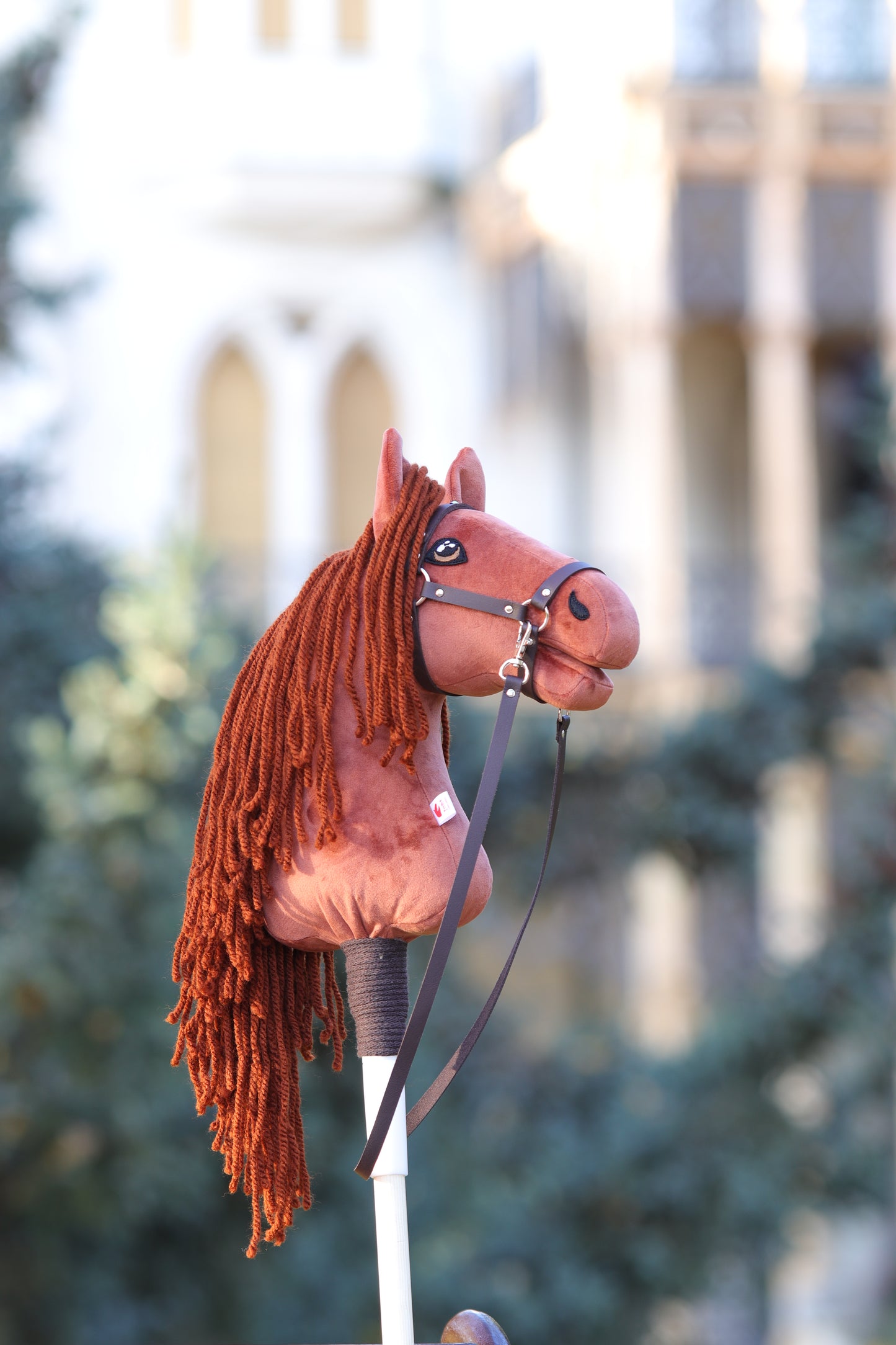 Terra - Rezavá hříva - Sportovní pony