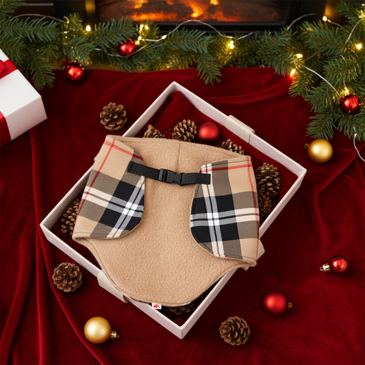 Dečka Camel - Hříbě