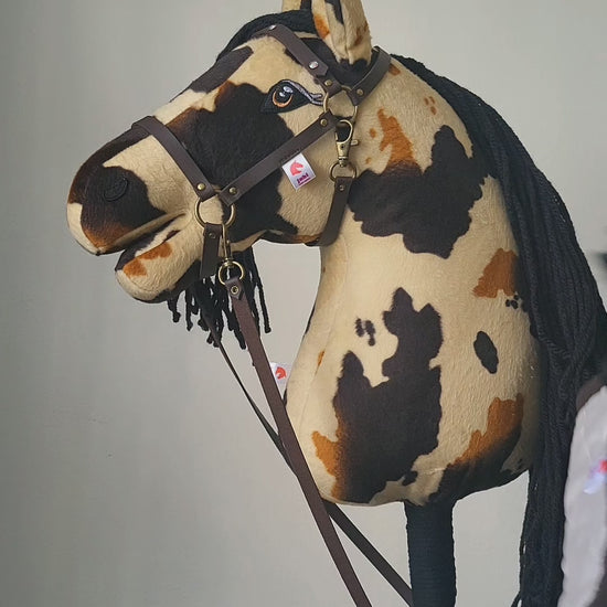 Výhodný duo set pro hobby horse, obsahující sladěnou čabraku a dečku v krémové barvě.